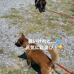 お盆時期は連日営業！！の画像