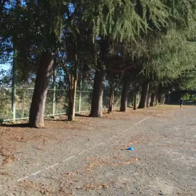 襷練習⑭の画像