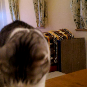 安定しない体調の画像