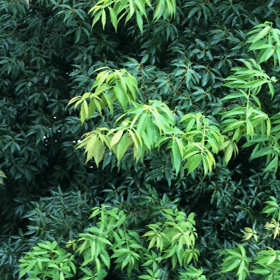 あらま……の画像