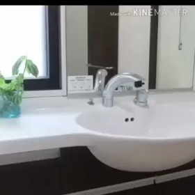 ほのぼのアニメCMです(*^^*)の画像