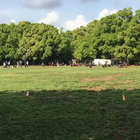 10色リレー 黄緑側から③の画像