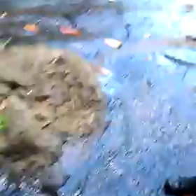 ♡ジャーンプ♡動画初投稿♡の画像