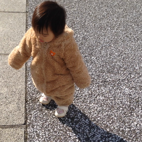 電動自転車を検討の画像