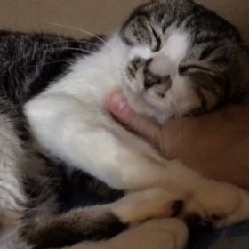 雪ちゃんデレデレ❤️の画像