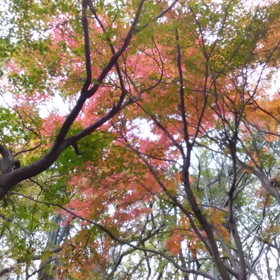 クリスタルボウルの動画２本アップしまーすの画像