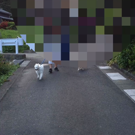 散歩（福井）の画像