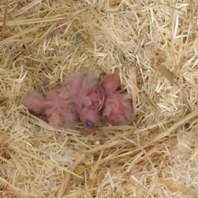 競争は不思議な結果に❓！(◎_◎;)の画像