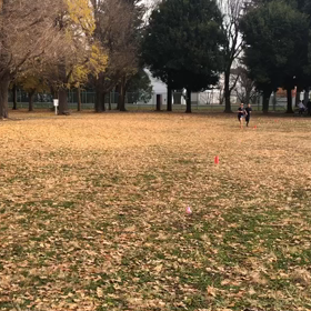 1000m２組目&1500m⑩の画像