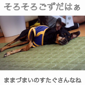 チップの ままづまいさんなねなぁの画像