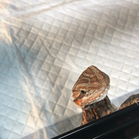 野菜も、ちゃんと食べて偉い！！の画像