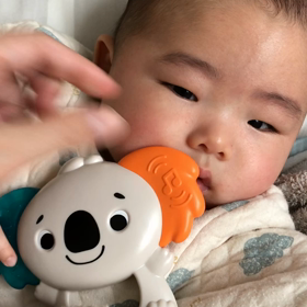 ゴロゴロデーの画像