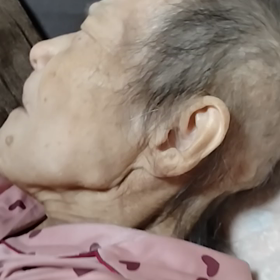 ご飯だよの画像