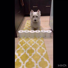 トイレットペーパーチャレンジの画像