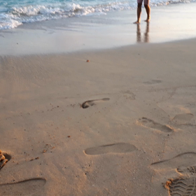 サンセットの画像