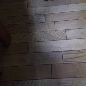 お散歩セスジローの画像