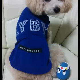 モデルさんのボク☆疲れちゃった♪の画像