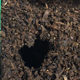 見てしまった、、、の画像