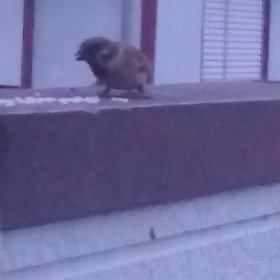 明日は休日。の画像