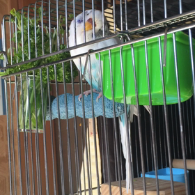 会話成立の画像