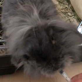 れおんの2019③の画像