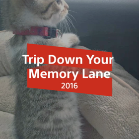 癒されての画像