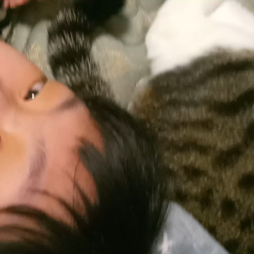 *ほっこりさんの画像