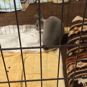 駆け抜ける歓びの画像