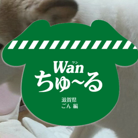 今日は犬の日の画像