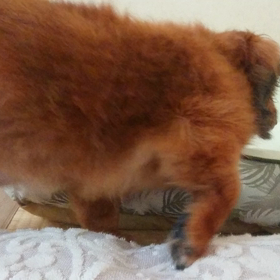 宝物のお話の画像