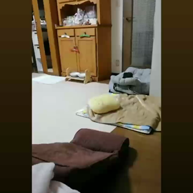 ここが好きの画像