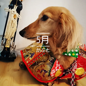 五月になりましたの画像