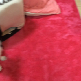 ■新技トリプルアクセル■の画像