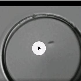 フラグメントの凄さにきっとみんな驚くの画像