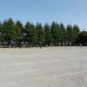 3/11学年別インターバル⑥の画像