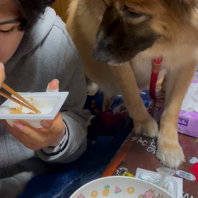 納豆大好きマロさんの画像