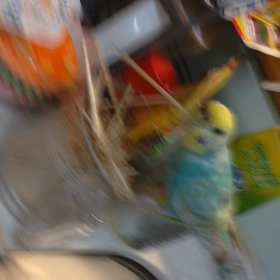 反抗期・・・の画像