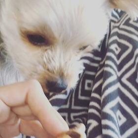 【自分がいかに固定観念の中で生きているかを思い知らされる】の画像