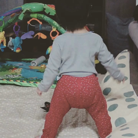 お花見、できず。の画像