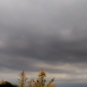 お昼休憩の画像