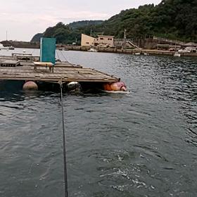 立目筏曳航敷設していますの画像