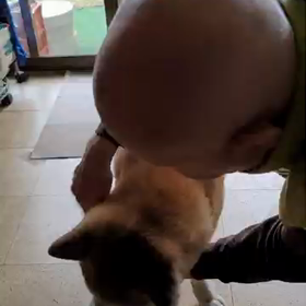 ジローをぐしゃぐしゃの画像