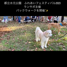 2023/11/04の画像