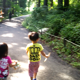 勝山ディノパークの画像