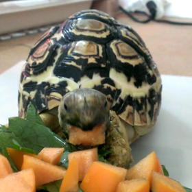 みんなが優しい件。の画像