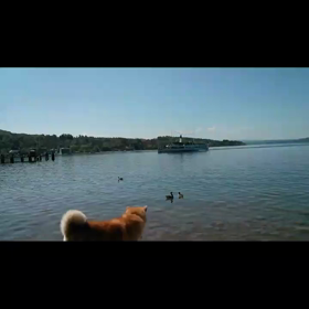 湖のさんぽの画像