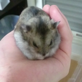 ドアップの画像