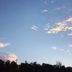 2021年6月22日の画像