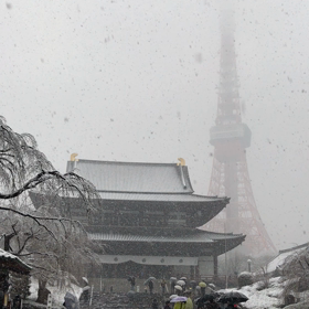 寒波の到来の画像