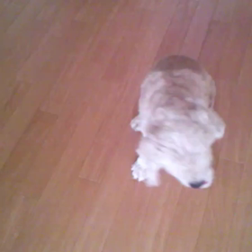 あゆちゃんの動画の画像